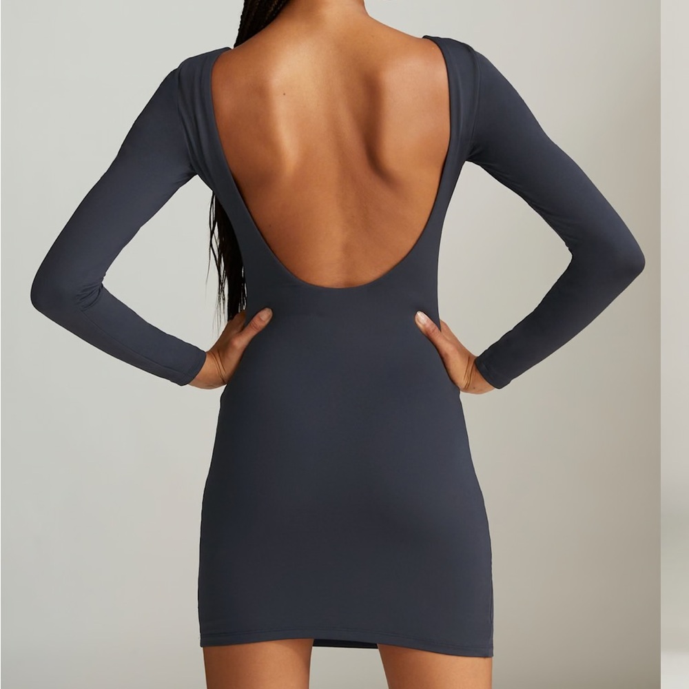 Aritzia Babaton Contour Backless Dress